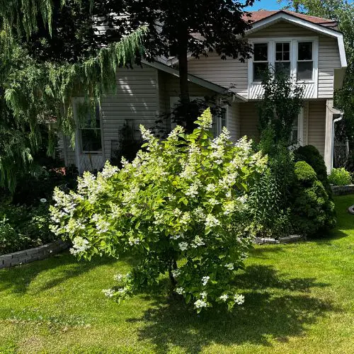 Merrett Cottage Main